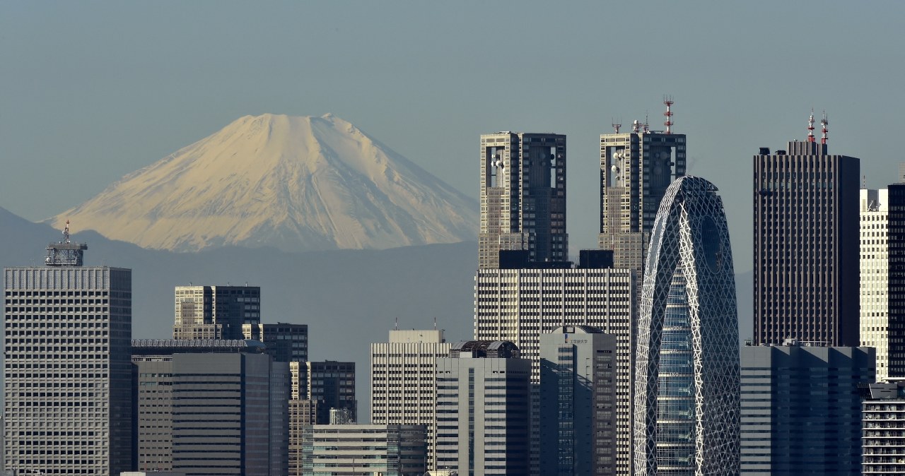 Za darmo przewożą Europejczyków, stawiają warunki. Oferta do końca stycznia