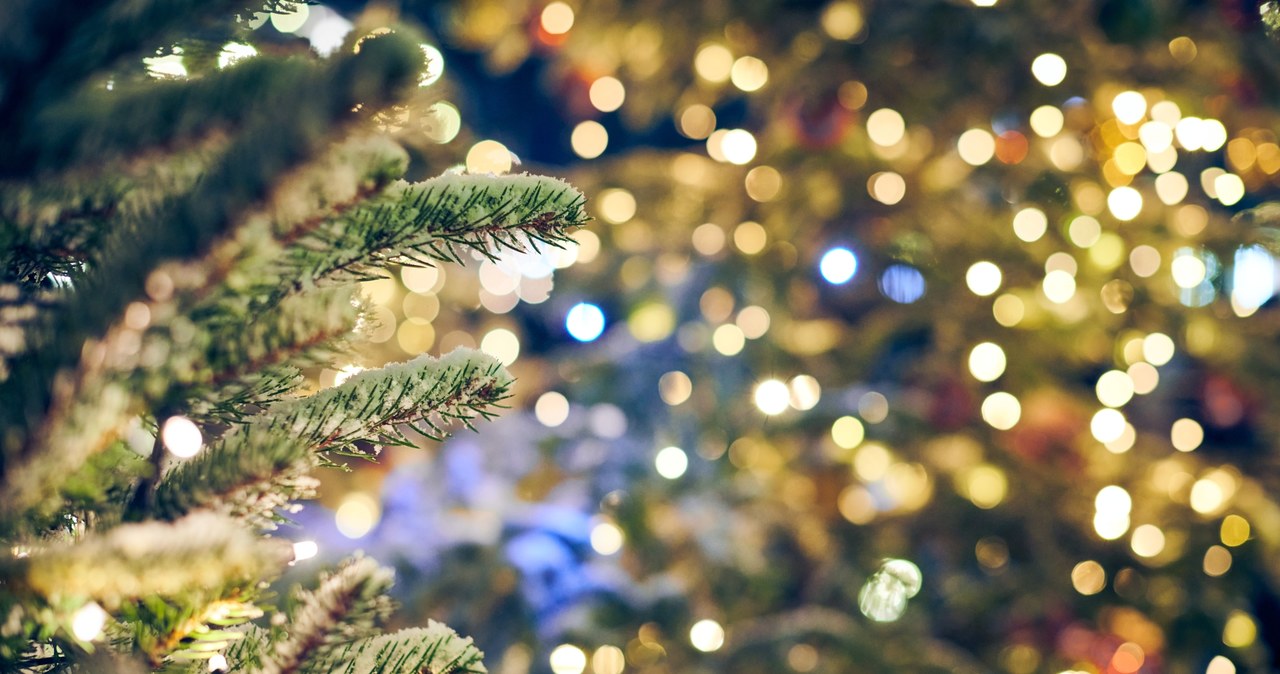 Wielu, zostawia, dekorowania, domu, Boże, Narodzenie, ostatnią, chwilę, Kolorowe, ozdoby, niejednym, mieszkaniu, pojawiają, pocz Ukryta funkcja lampek na choinkę. Sprawdź, czy twoje też to potrafią