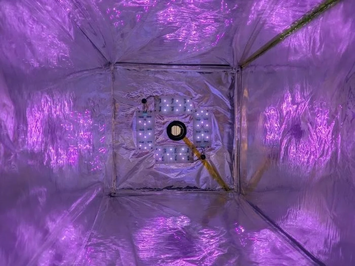 Badacze z Uniwersytetu w Kopenhadze opracowali metodę eliminacji z powietrza metanu wydzielanego przez bydło i trzodę chlewną. Ich praca może pomóc znacząco obniżyć emisję tego groźnego gazu cieplarnianego, która w znacznej części pochodzi z hodowli zwierząt. Opublikowana dziś w czasopiśmie "Environmental Research Letters" praca wskazuje, że metan można eliminować w specjalnych komorach, w obecności chloru i promieniowania ultrafioletowego. W atmosferze metan rozkłada się przez ponad 10 lat, nowa metoda przyspiesza ten proces nawet... 100 milionów razy. 