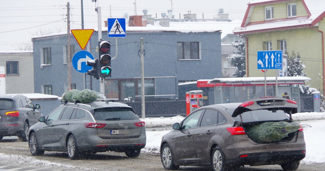 Choinka, jeden, elementów, których, trudno, wyobrazić, sobie, święta, Bożego, Narodzenia, wybór, świątecznego, drzewka, kwestia, W ten sposób nigdy nie przewoź choinki. Możesz dostać wysoki mandat