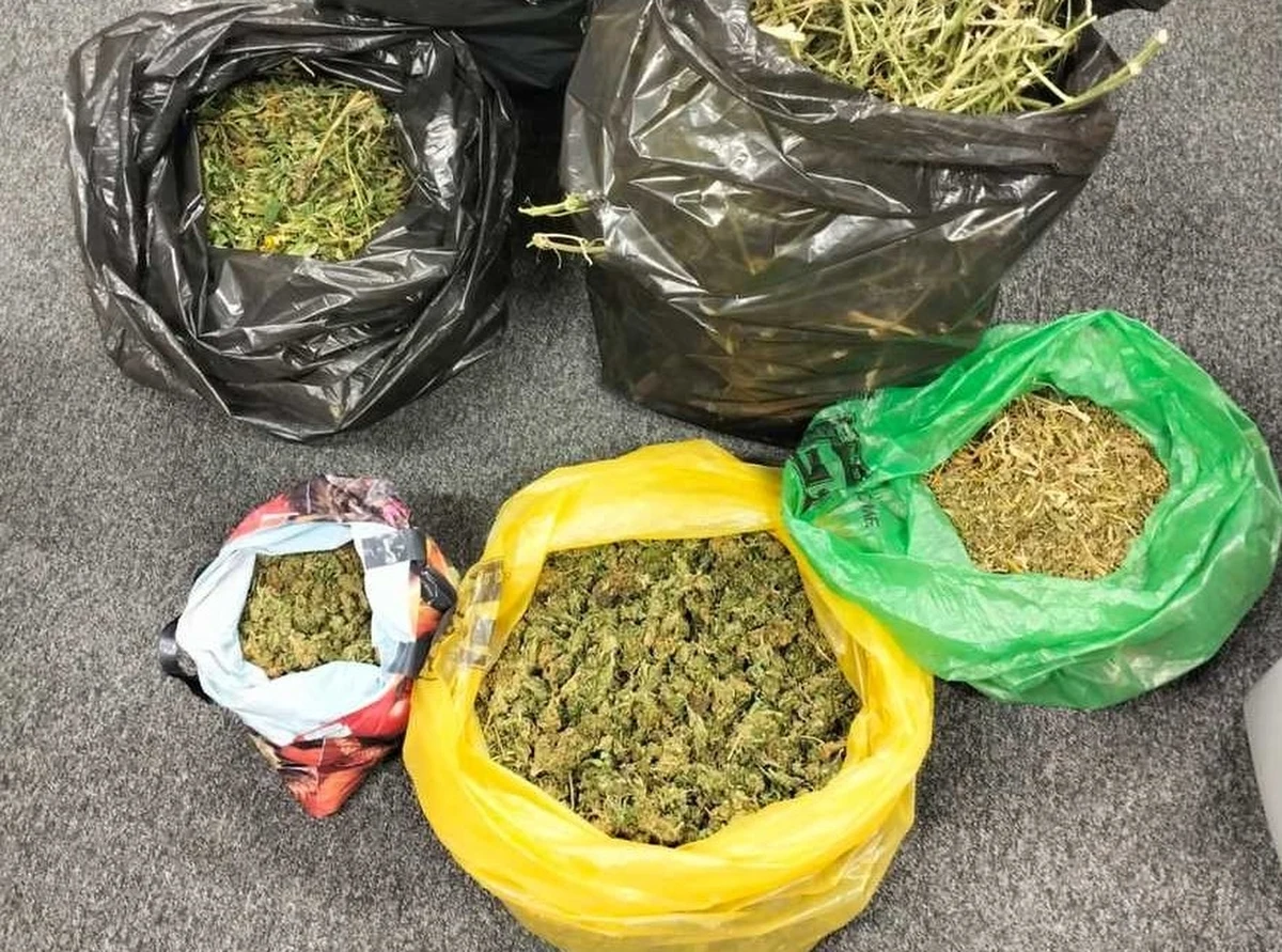 Blisko 8 kg marihuany oraz 0,74 g mefedronu przechwycili policjanci z Rzeszowa. Narkotyki znaleźli w domach trzech mężczyzn. Dwóch 35-latków i 34-latek usłyszeli prokuratorskie zarzuty. Grozi im do 10 lat pozbawienia wolności.