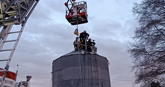 Ponad dwie godziny trwało wyciąganie mężczyzny przysypanego zbożem w silosie w Lubelskiem. W akcji ratowniczej brała udział m.in. Specjalistyczna Grupa Ratownictwa Wysokościowego z lubelskiej straży pożarnej.