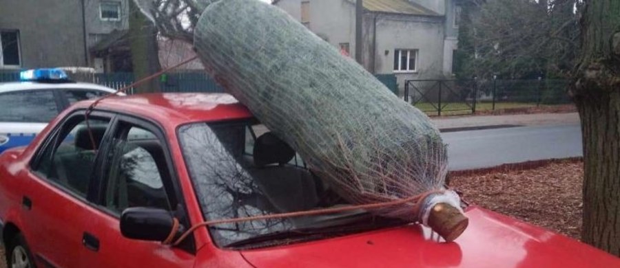 68-letni kierowca z okolic Pruszkowa na Mazowszu stracił prawo jazdy za przewożenie… choinki. A to dlatego, że świąteczne drzewko było przywiązanie do przednich lusterek i leżało na szybie samochodu.