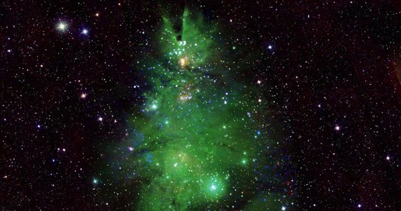 NASA opublikowała zdjęcie gromady "Choinka", które w jak największym stopniu ma przypominać faktyczne bożonarodzeniowe drzewko. W tym celu połączono obrazy tej gromady gwiazd, zebrane z pomocą różnych, naziemnych i kosmicznych instrumentów. Charakterystyczny kształt drzewka w zielonym kolorze przynoszą optyczne dane z 0,9-metrowego teleskopu WIYN z Kitt Peak National Observatory w Górach Quinlan w Arizonie. 