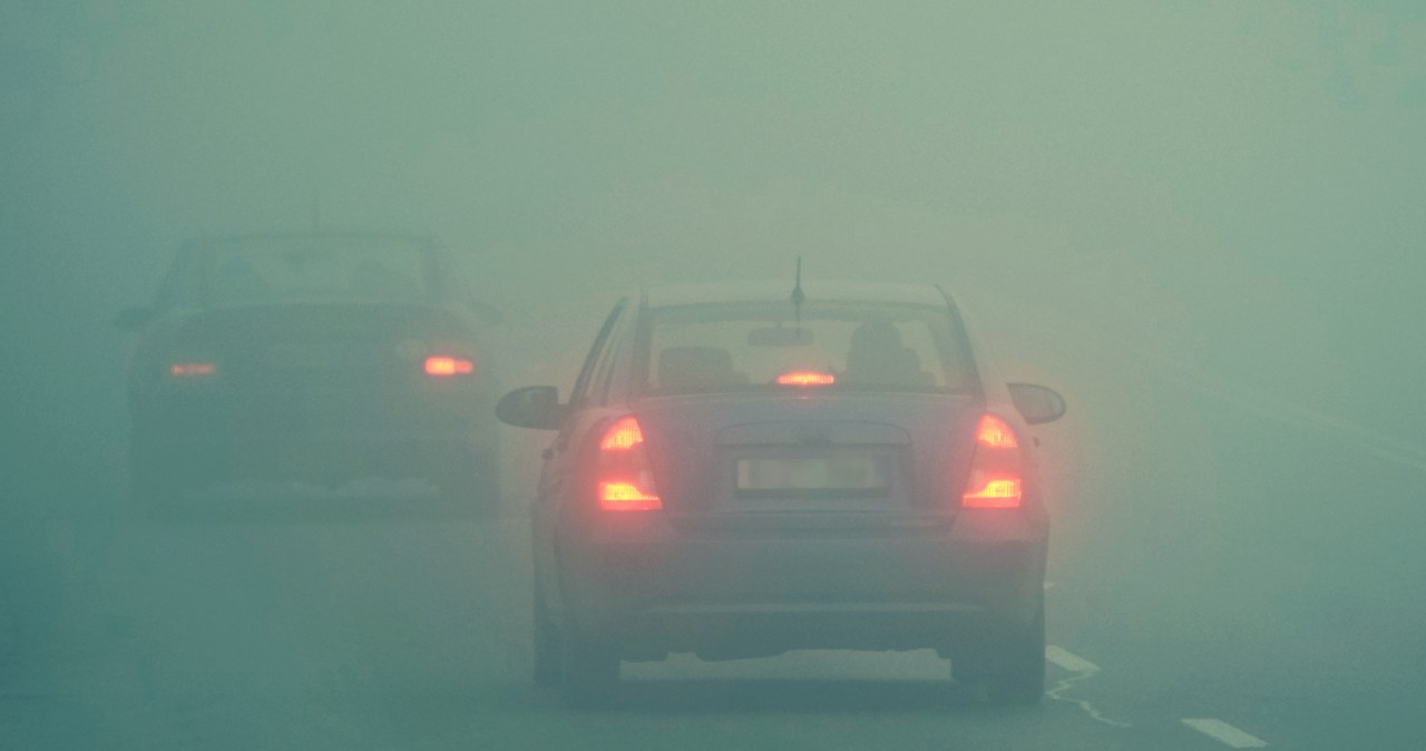 50=50. Prosta zasada z Niemiec, która ratuje życie. Polacy jej nie znają