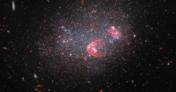 Dla uczczenia Świąt Bożego Narodzenia NASA opublikowała najnowsze zdjęcie galaktyki UGC 8091, przypominającej nieco śniegową kulę. Obraz zebrany przez Kosmiczny Teleskop Hubble'a w szerokim widmie promieniowania pozwala badać miliony gwiazd tej galaktyki dokładniej, niż to wcześniej było możliwe. UGC 8091, oznaczana też jako GR 8, leży około 7 milionów lat świetlnych od Ziemi, w gwiazdozbiorze Panny. Astronomowie określają ją jako karłowatą galaktykę nieregularną, bo jest względnie mała, a jej gwiazdy nie są w jakiś szczególny sposób uporządkowane. 