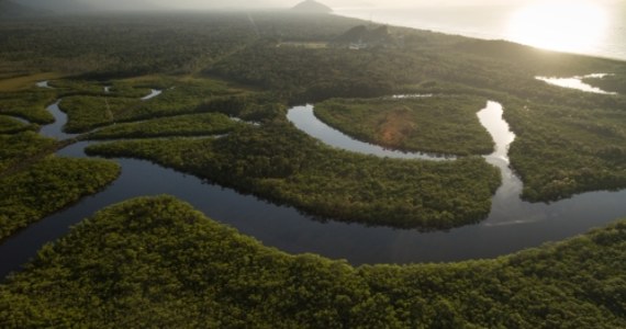 Nowoczesna autostrada o długości 900 kilometrów może przeciąć Puszczę Amazońską, największy na świecie lat tropikalny. Izba niższa brazylijskiego Kongresu przyjęła w nocy ze środy na czwartek projekt ustawy.