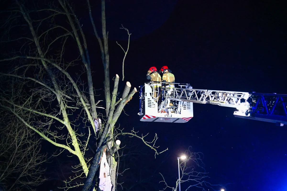 Prawie pół tysiąca razy wyjeżdżali już zachodniopomorscy strażacy w związku z bardzo silnym wiatrem w regionie. To głównie interwencje związane z połamanymi drzewami, które blokują drogi, ale były też poważniejsze zdarzenia. 