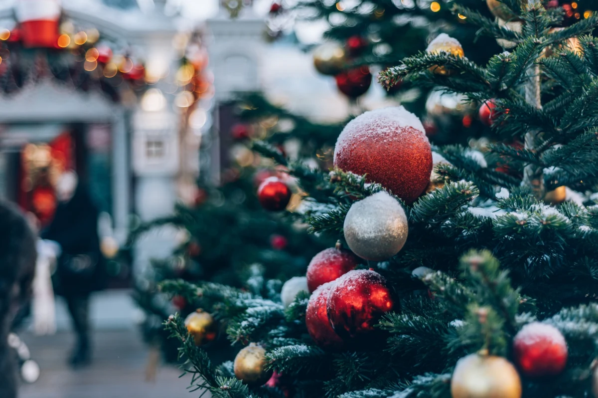 Do tragicznego wypadku doszło na jarmarku bożonarodzeniowym w Oudenaarde w centralnej Belgii. 63-letnia kobieta zmarła w czwartek wieczorem po tym, gdy spadła na nią ważąca 5 ton 20-metrowa choinka.