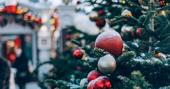 Do tragicznego wypadku doszło na jarmarku bożonarodzeniowym w Oudenaarde w centralnej Belgii. 63-letnia kobieta zmarła w czwartek wieczorem po tym, gdy spadła na nią ważąca 5 ton 20-metrowa choinka.