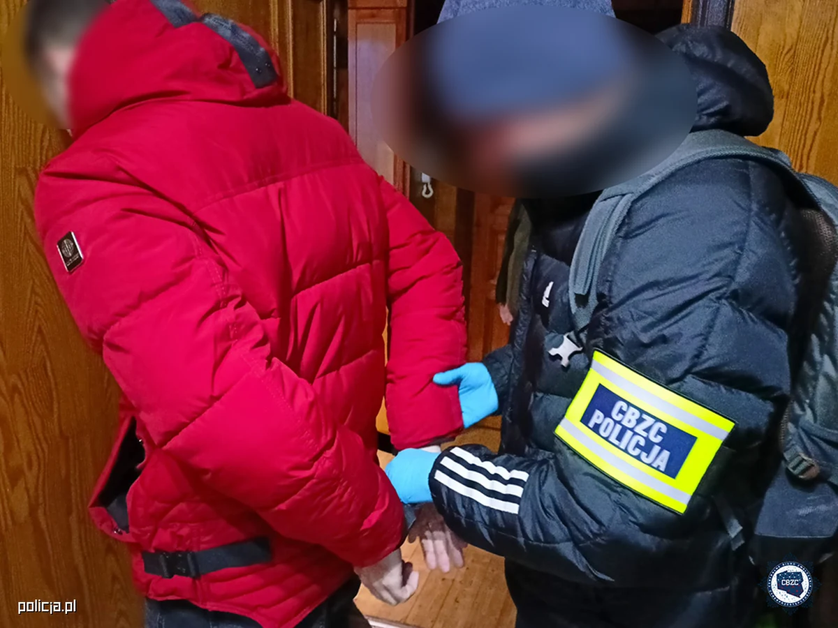 Siedem osób podejrzewanych o oszustwa przy wykorzystaniu portali społecznościowych i zakupowych zatrzymali funkcjonariusze Centralnego Biura Zwalczania Cyberprzestępczości ze Szczecina. Pokrzywdzeni stracili ponad 300 tys. złotych, znaczną część tych pieniędzy przestępcy lokowali w kryptowalutach.