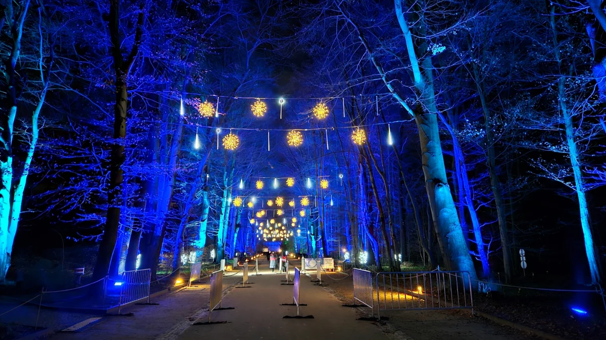 Tysiące kolorowych lampek i światełek przyciągają tłumy zwiedzających do Ogrodu Botanicznego w Berlinie. Od siedmiu lat turyści oraz mieszkańcy stolicy Niemiec mogą podziwiać świetlne instalacje ustawione pośród roślin w świątecznym ogrodzie.