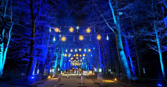 Tysiące kolorowych lampek i światełek przyciągają tłumy zwiedzających do Ogrodu Botanicznego w Berlinie. Od siedmiu lat turyści oraz mieszkańcy stolicy Niemiec mogą podziwiać świetlne instalacje ustawione pośród roślin w świątecznym ogrodzie.