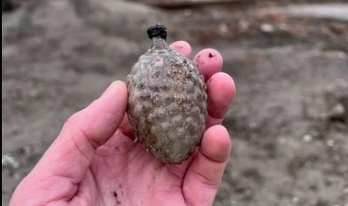 Robotnicy pracujący na remontowanym placu Defilad natknęli się na świąteczną niespodziankę. W jednej z piwnic przedwojennej kamienicy znaleźli najprawdopodobniej starą bombkę bożonarodzeniową.