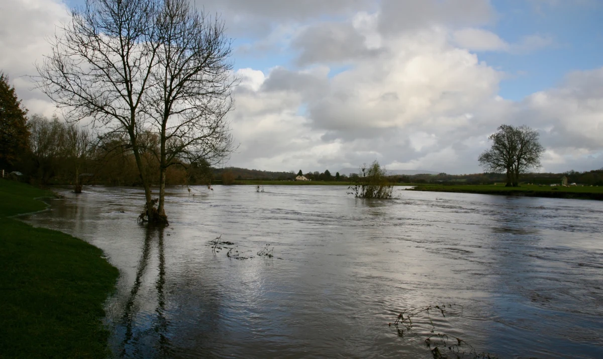 ​Ostrzeżenia drugiego stopnia w związku z wezbraniem wód i przekroczeniem stanów ostrzegawczych dla województwa pomorskiego wydało Biuro Prognoz Hydrologicznych w Gdyni. W niedzielę do godzin popołudniowych na Nysie Kłodzkiej możliwe są gwałtowne wzrosty stanów wód - poinformowało Wojewódzkie Centrum Zarządzania Kryzysowego w Opolu.