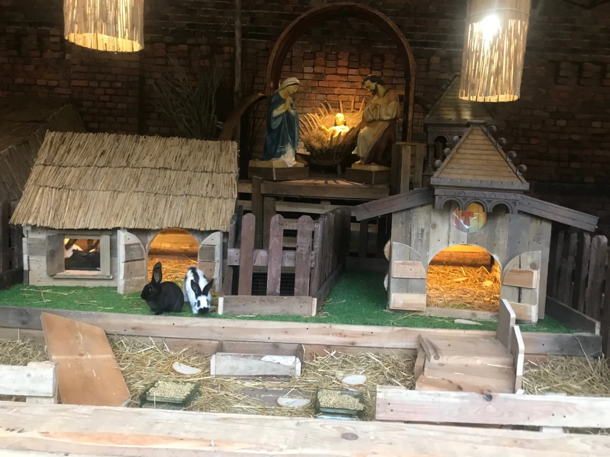 Kolekcję stajenek z całego świata można oglądać w Bazylice Franciszkanów w Katowicach-Panewnikach. Jest tam około 50 szopek, a wśród nich m.in. stajenki z Afryki, Meksyku, a także z Australii. Nie zabrakło też szopek z Polski. 