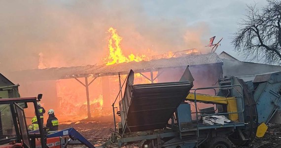 Ponad dwadzieścia zastępów straży pożarnej gasiło duży pożar zabudowań gospodarczych w miejscowości Rybnik w województwie łódzkim. Są osoby poszkodowane, ewakuowano zwierzęta. Ogień został opanowany. 