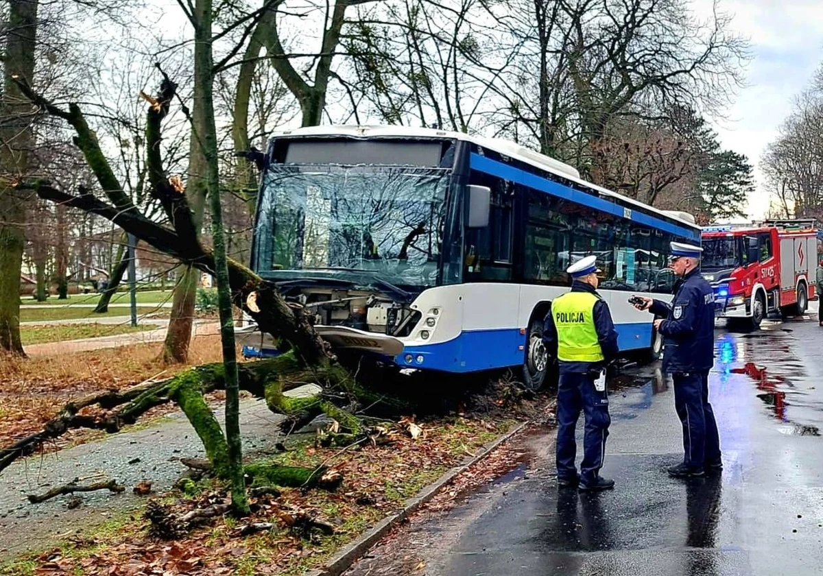 Autobus wbił się w drzewo przy ul. Powstańców Warszawy w Dolnym Sopocie. Wszystko wskazuje na to, że kierowca zasłabł podczas jazdy. Mężczyzna był trzeźwy, trafił już do szpitala na badania.
