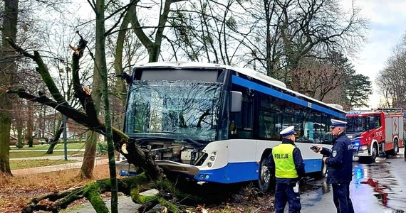 Autobus wbił się w drzewo przy ul. Powstańców Warszawy w Dolnym Sopocie. Wszystko wskazuje na to, że kierowca zasłabł podczas jazdy. Mężczyzna był trzeźwy, trafił już do szpitala na badania.