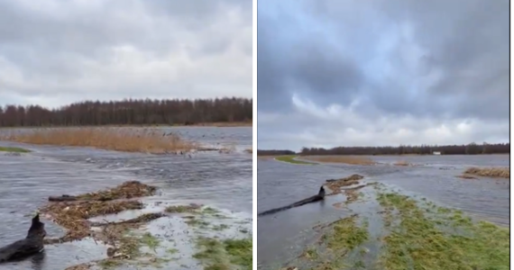 Rzeka Łeba przerwała wał przeciwpowodziowy w okolicy Poraja w powiecie lęborskim. W regionie spodziewane są opady deszczu i deszczu ze śniegiem.