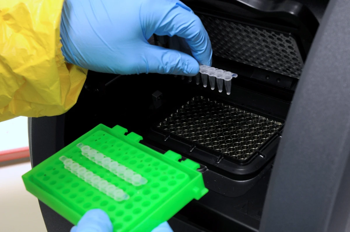 W tym roku wydawcy musieli wycofać rekordową liczbę 10 tys. artykułów naukowych. Powodem jest ich niska jakość lub podejrzenie, że są plagiatami - wynika z analizy dokonanej przez tygodnik naukowy "Nature". 