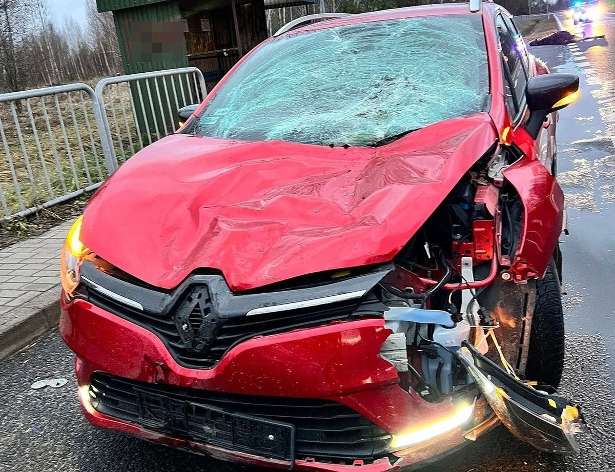 Na drodze krajowej nr 82 w miejscowości Kołacze ( Lubelskie) kierujący samochodem osobowym zderzył się z łosiem. Siła uderzenia była tak duża, że zwierzę zginęło na miejscu. Na szczęście 71-latek oraz jego 68-letnia pasażerka nie odnieśli obrażeń.