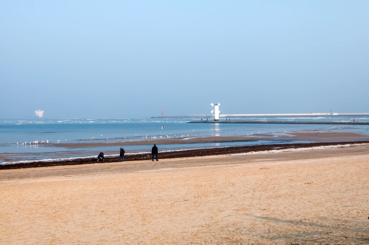 Są obiekty, gdzie wolnych miejsc już nie ma, w innych zostały ostatnie wolne pokoje. W tym roku sylwestra nad morzem spędzi - według szacunków - 100 tys. turystów. Nadmorskie kurorty kuszą atrakcjami, a branża cieszy się z największego obłożenia od lat. Jak się okazuje tegoroczny grudzień jest dla hoteli lepszy niż niektóre tygodnie wakacji.
