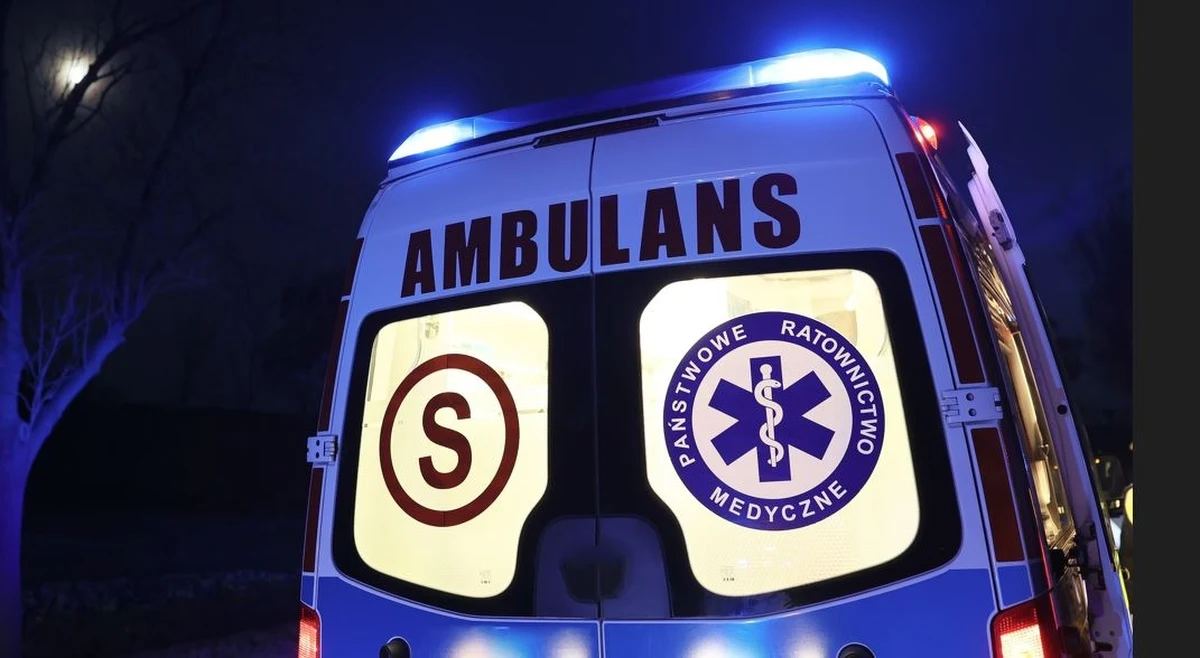 Zarzut nieumyślnego spowodowania śmierci oraz nieudzielenia pomocy usłyszał 41-latek, który w poniedziałek wieczorem w Piławkach koło Miłomłyna w Warmińsko-Mazurskiem miał potrącić 37-latka. Kierowca przyznał się do winy. 