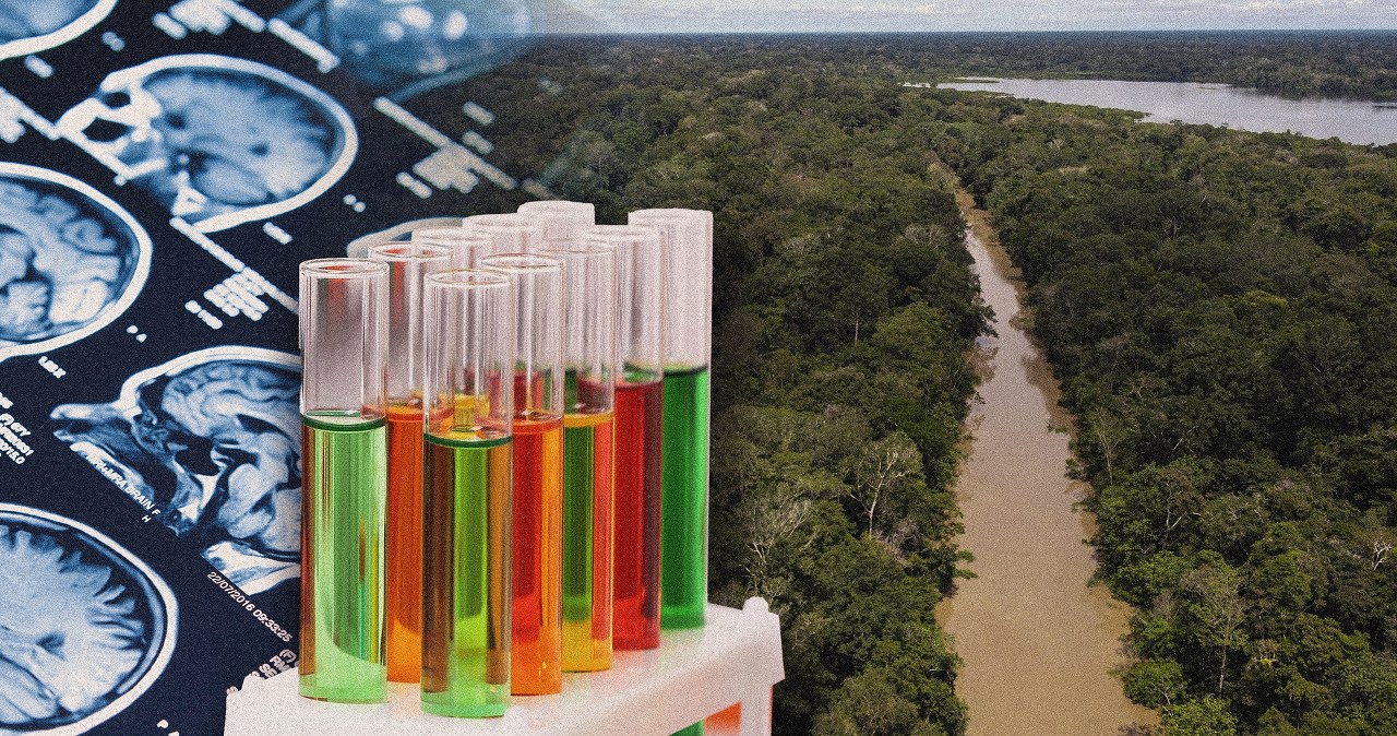 Co dobrego działo się w nauce w 2025 r.? Same pozytywne historie