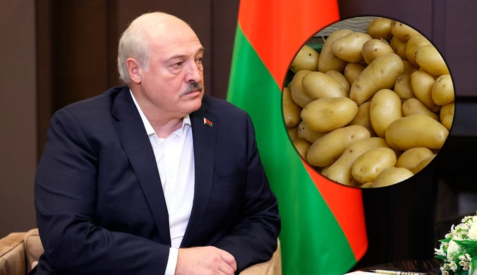 Białoruś wybiera ziemniaki zamiast systemu kosmicznego. "Innowacja"