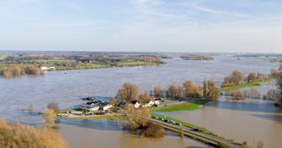 W niebezpieczeństwie znalazło się 1500 zwierząt w zalanym przez powódź parku Serengeti w Hodenhagen w niemieckiej Dolnej Saksonii - informuje "Bild". Z powodzi uratowano już i przeniesiono w bezpieczne miejsca 150 zwierząt, ale żyrafy i 30 antylop są nadal otoczone przez wodę.