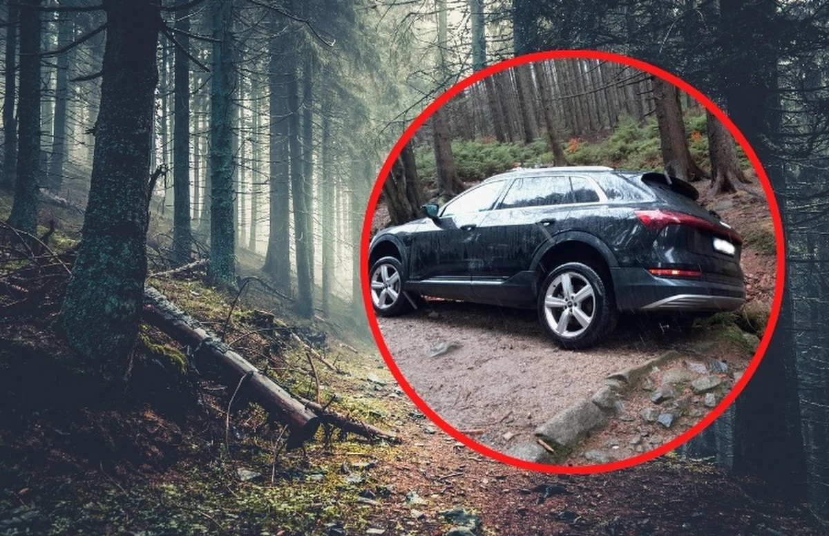 Tysiąc złotych mandatu dostał obywatel Niemiec za wjazd samochodem do parku narodowego - poinformowali przedstawiciele Karkonoskiego Parku Narodowego. Mężczyzna chciał przejechać do Czech czarnym szlakiem z Jagniątkowa. 