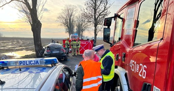 Od 29 grudnia do 1 stycznia na polskich drogach doszło do 160 wypadków. Zginęło 18 osób, a 181 zostało rannych. 