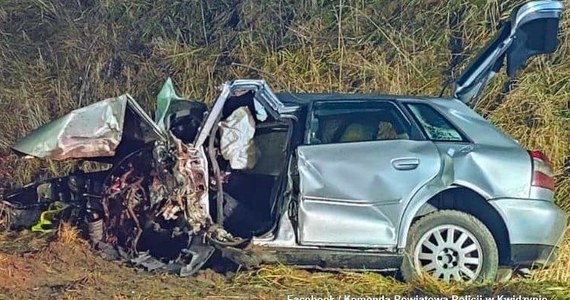 Cztery osoby zostały ranne w wypadku drogowym w Wandowie w Pomorskiem - kierujący samochodem osobowym prawdopodobnie nie dostosował prędkości do panujących warunków drogowych i uderzył w przydrożne drzewo.