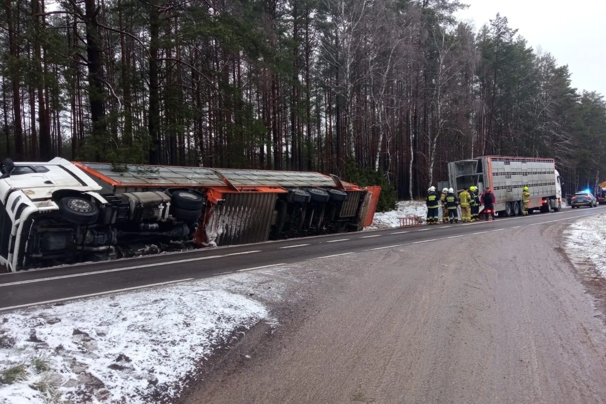 Ciężarówka przewożąca 170 świń przed południem wpadła do rowu przy drodze wojewódzkiej nr 212 w pobliżu Karpna w Pomorskiem. Niestety nie wszystkie zwierzęta przeżyły. Kierowcy nic się nie stało, był trzeźwy.