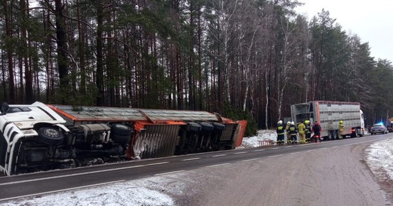 Ciężarówka przewożąca 170 świń przed południem wpadła do rowu przy drodze wojewódzkiej nr 212 w pobliżu Karpna w Pomorskiem. Niestety nie wszystkie zwierzęta przeżyły. Kierowcy nic się nie stało, był trzeźwy.