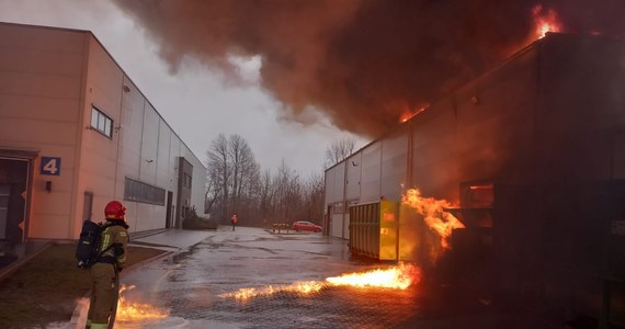 W kulminacyjnym momencie 23 jednostki straży pożarnej walczyły z pożarem zakładu w Nowym Dworze Mazowieckim. Ogień pojawił się tam rano.