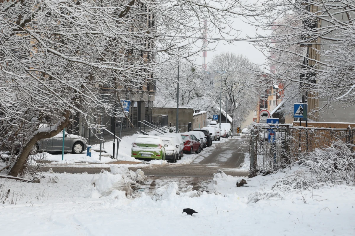 Błoto utrudniające jazdę zalega na wielu drogach w województwie podlaskim, warmińsko-mazurkim, pomorskim oraz mazowieckim. W regionie pada śnieg i deszcz ze śniegiem. Obecnie pracuje niemalże 500 pługów śnieżnych i solarek, dzięki czemu wszystkie drogi krajowe są przejezdne – informuje Generalna Dyrekcja Dróg Krajowych i Autostrad.
