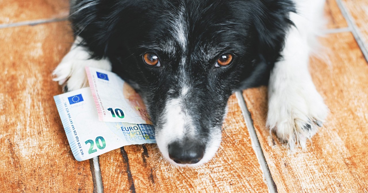 Nietypowy podatek turystyczny we włoskim mieście. Wejdzie w życie w 2026 r.