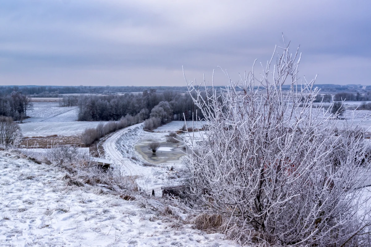 Czeka nas prawdziwe uderzenie zimy. Duże ochłodzenie dotrze do nas w niedzielę - ostrzega synoptyk Grzegorz Walijewski z Instytutu Meteorologii i Gospodarki Wodnej.