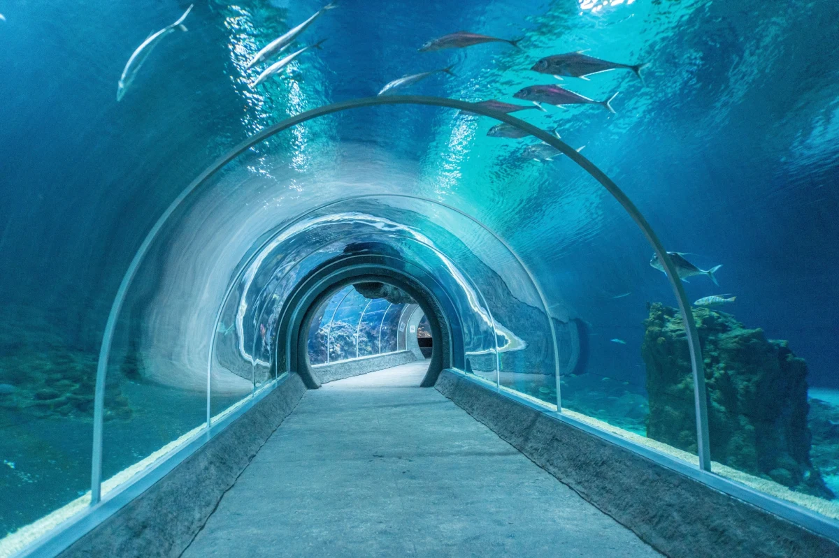 Kropla drąży skałę i tak też będą działać edukatorzy łódzkiego Zoo Orientarium, którzy przygotowali ścieżkę naukową o wodzie. W czasie wycieczki śladem wody w Zoo będzie można dowiedzieć się, jak powstają oceany i jak słona woda powstaje w... Łodzi.