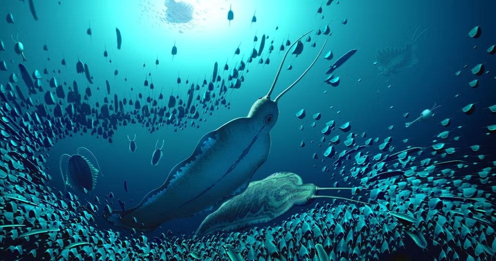 Badacze poinformowali o odkryciu nowej grupy starożytnych drapieżników, która dominowała w oceanach ponad 500 milionów lat temu i mogła znajdować się blisko szczytu łańcucha pokarmowego. Nie bez przyczyny nazywają ją przecież "bestiami terroru", prawda?