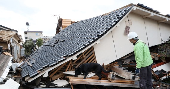 92 osoby nie żyją, a co najmniej 242 uważa się za zaginione po potężnym trzęsieniu ziemi w Japonii, do którego doszło 1 stycznia. To najnowszy bilans ofiar. Japonia planuje przyjąć pomoc humanitarną od Stanów Zjednoczonych, ale bez pomocy ze strony innych rządów - poinformował dziennik Nikkei.