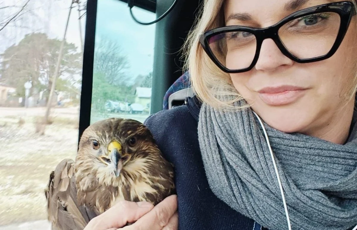 Pierwszy piątek roku nie okazał się szczęśliwy dla myszołowa. Ptak zderzył się z miejskim autobusem linii 705. Do zdarzenia doszło o poranku na wysokości Białobrzegów.