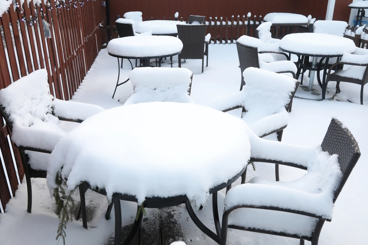 Opady śniegu w woj. podlaskim. Zobaczcie zdjęcia ośnieżonej Białowieży i Czerlonki.