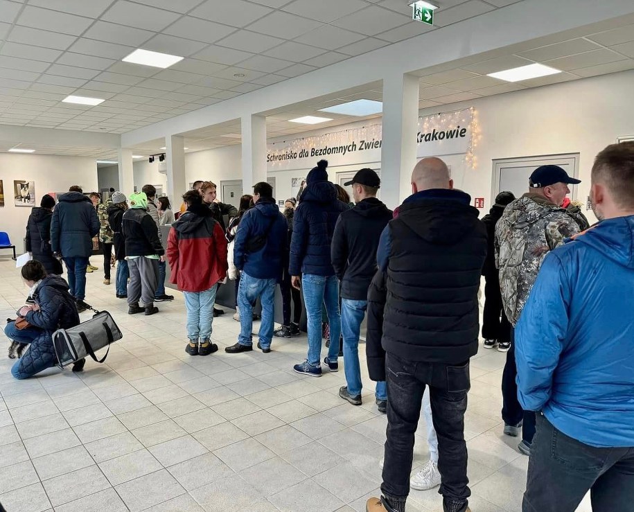 /KTOZ Schronisko dla Bezdomnych Zwierząt w Krakowie /Facebook