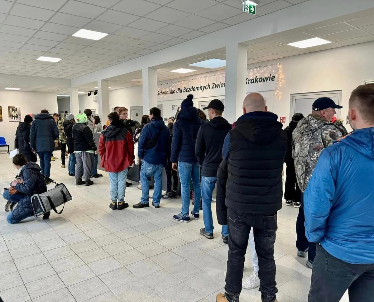 Z niesamowitym odzewem mieszkańców spotkał się apel krakowskiego schroniska dla bezdomnych zwierząt. Przed nadchodzącymi mrozami pracownicy placówki poprosili krakowian o tymczasowe przygarnięcie psiaków. 