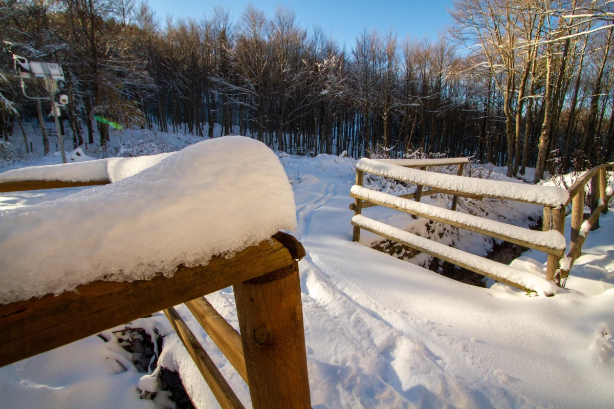 73-letni mieszkaniec gminy Kruklanki zmarł z wychłodzenia. O dramatycznym zdarzeniu informuje policja w Giżycku w woj. warmińsko-mazurskim. Mężczyzna został znaleziony w śnieżnej zaspie.