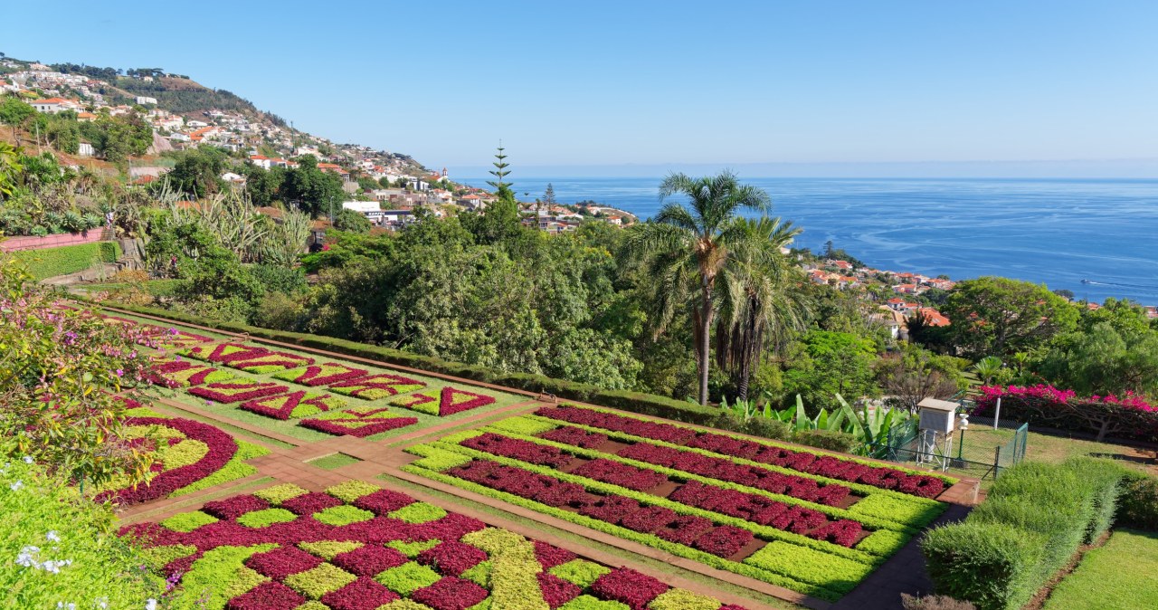 Ciepło, a niedaleko. To najlepsze kierunki na zimowy urlop w Europie