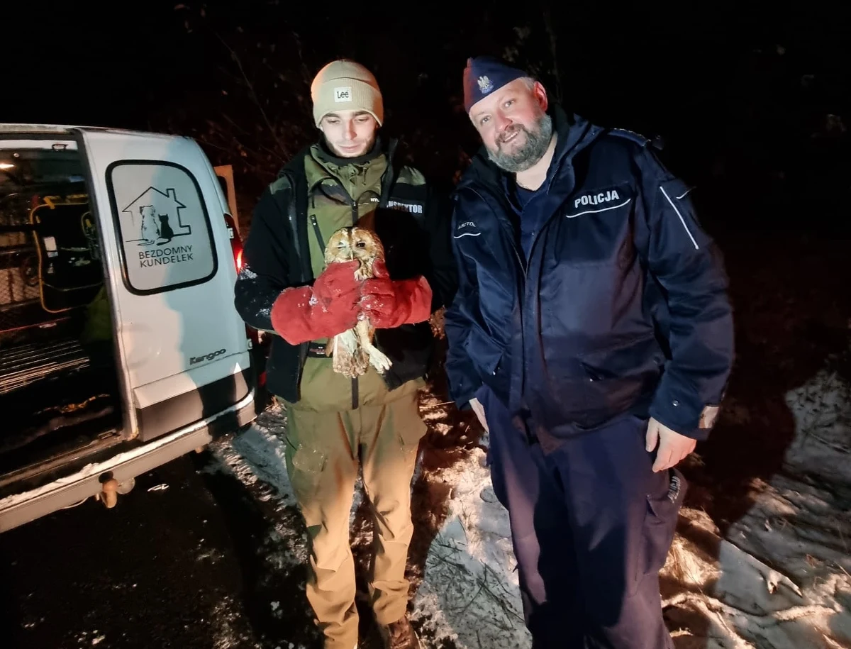 Pomorscy policjanci uratowali ranną sowę. Leżące na jezdni zwierzę zauważyli mundurowi z powiatu bytowskiego. Sówka została oddana w ręce specjalistów.